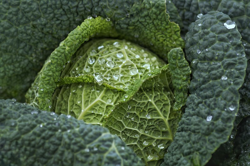 Veggie Delights